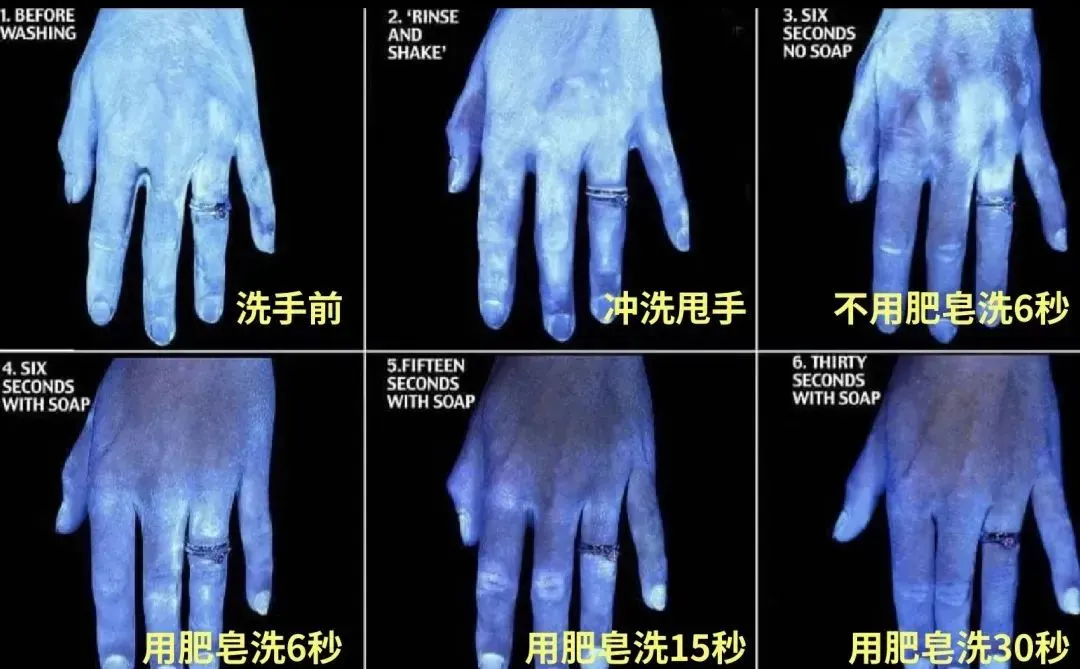 圖片13 圖片13.png