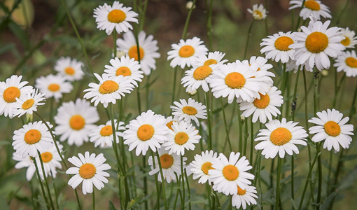 上海腦卒中康復(fù)全流程：分階段精準(zhǔn)干預(yù)，重建生活能力