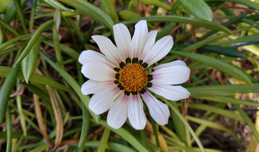 上海運(yùn)動損傷康復(fù)后的運(yùn)動回歸策略：從低強(qiáng)度到高強(qiáng)度的安全過渡指南